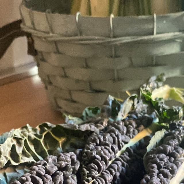 Cavolo nero — ziemas zaļumi